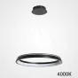 Подвесная люстра CHANETT D60 Black 4000К от ImperiumLoft