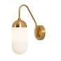 Бра Pelle Sconce short Gooseneck Clear Shade
