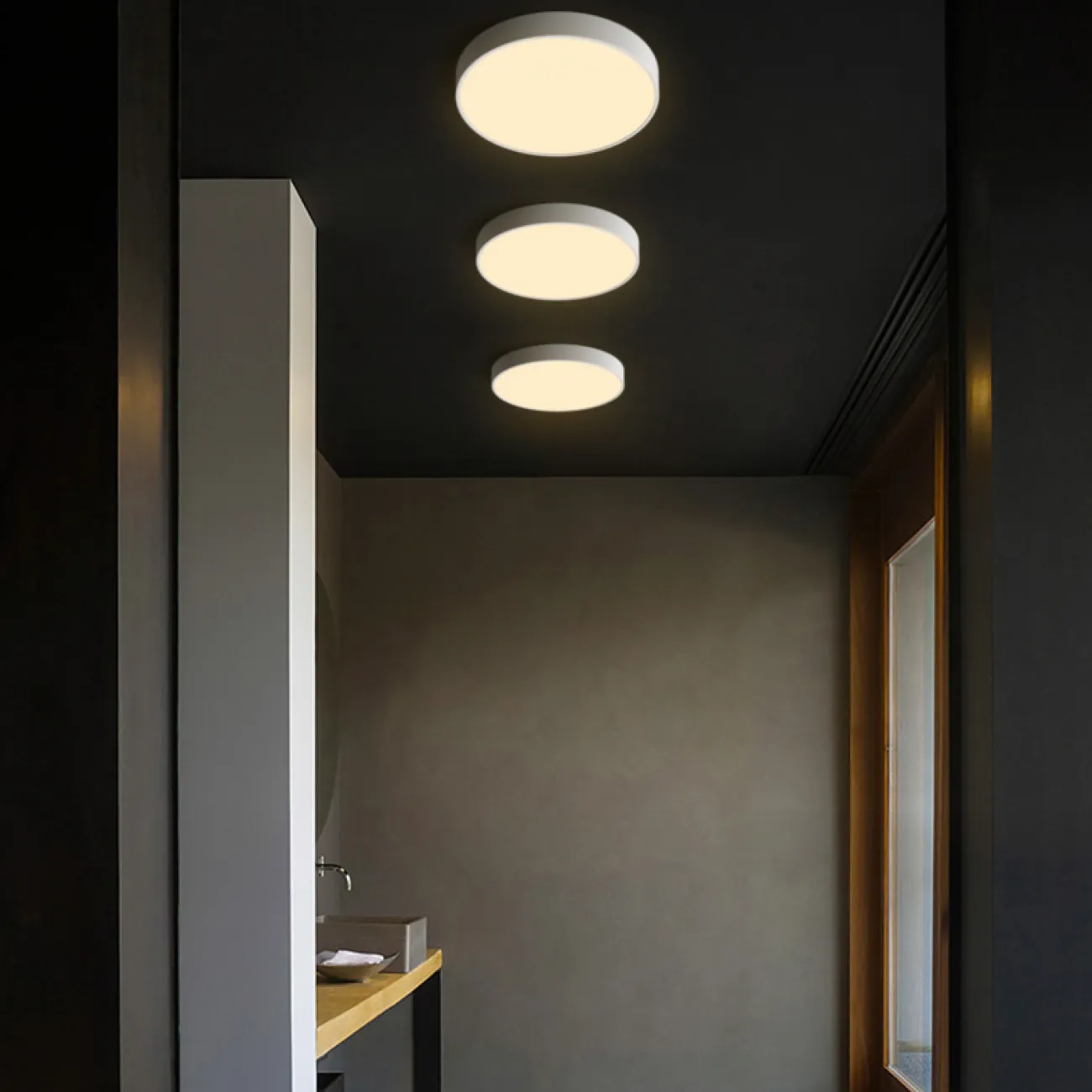 Потолочный светильник DISC BW D30 Black от ImperiumLoft