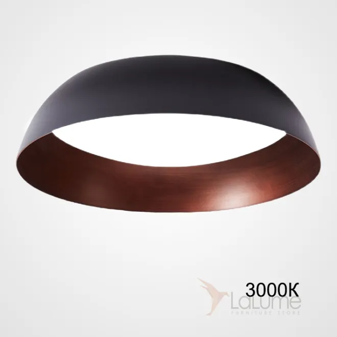 Потолочный светильник BARBO D55 3000К от ImperiumLoft