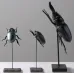 Статуэтка Beetle Family