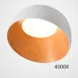 Потолочный светильник NORDA B White 4000К от ImperiumLoft
