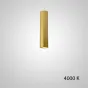 Точечный светильник PAN H20 Gold 4000 К от ImperiumLoft
