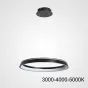 Подвесная люстра CHANETT D50 Black Трехцветный свет от ImperiumLoft