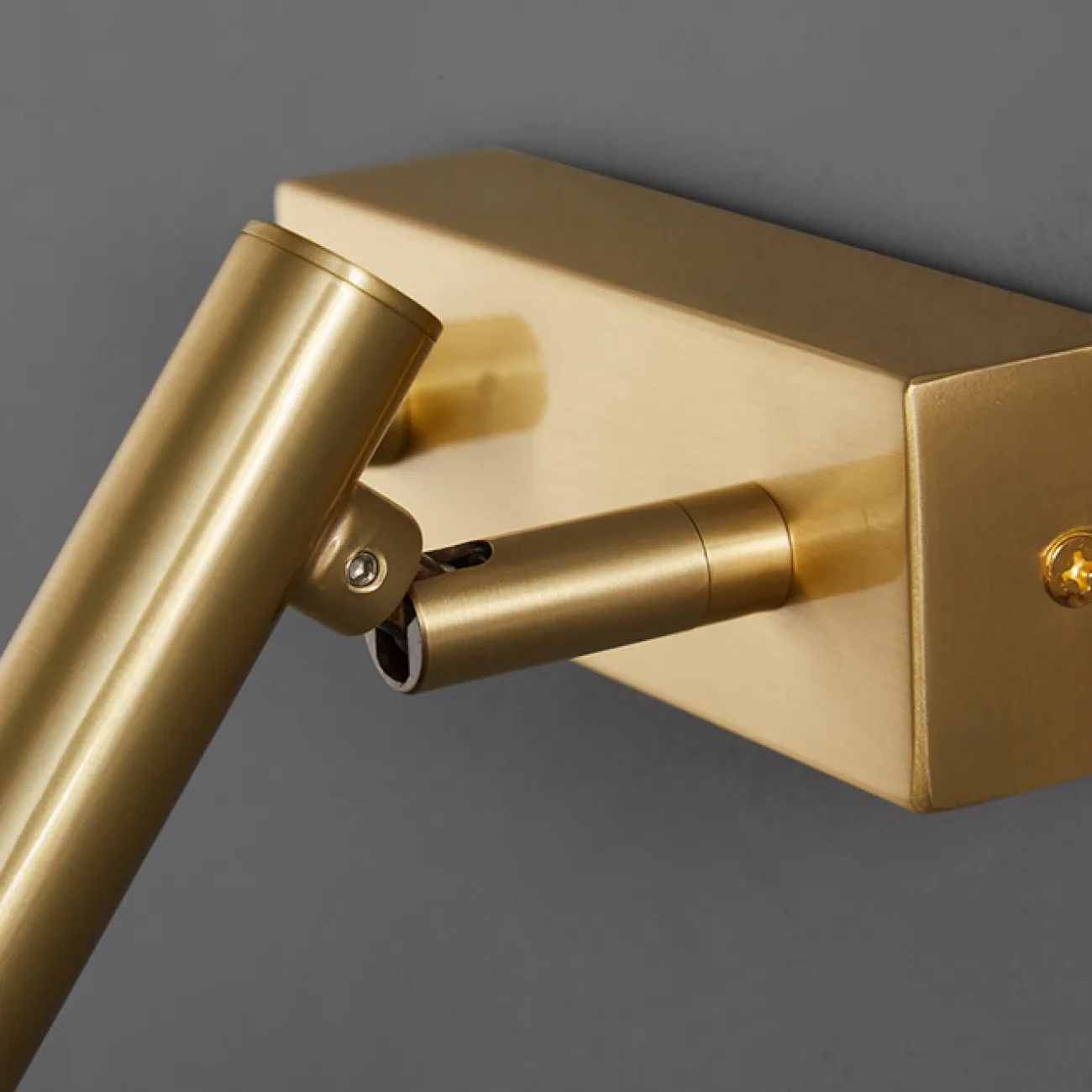 Настенный светодиодный светильник с вращающимся спотом и выключателем на прямоугольном креплении STALE Brass