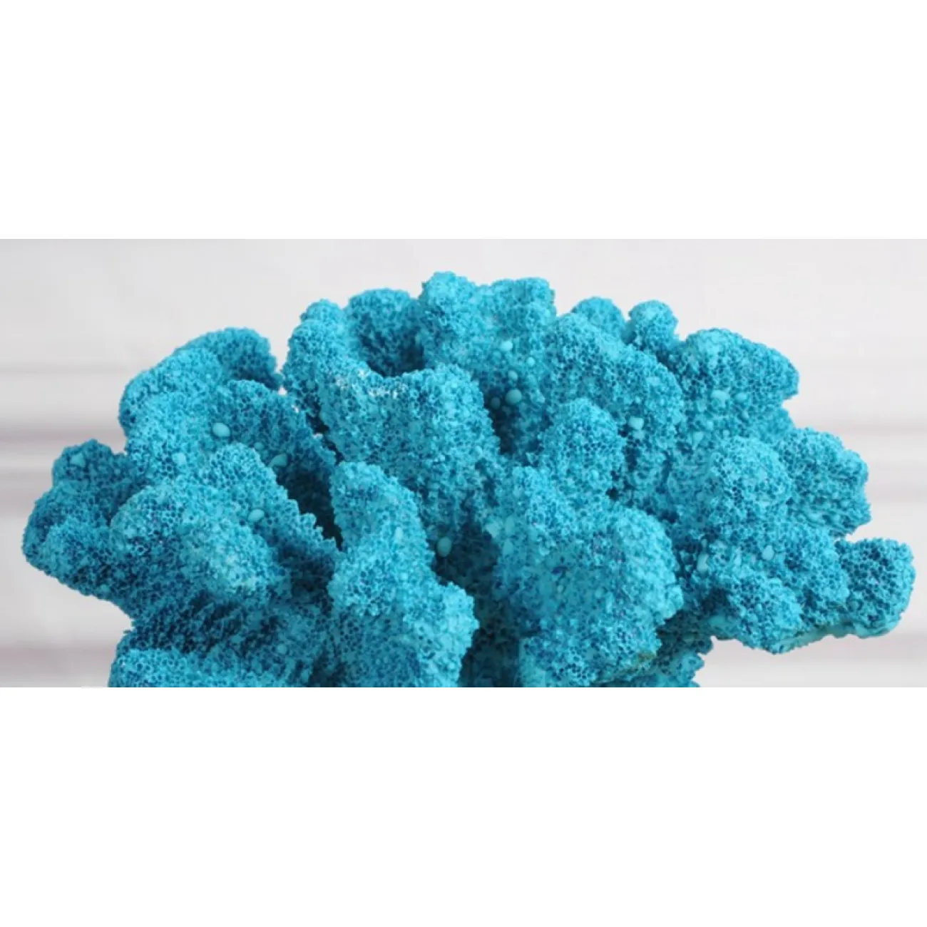 Статуэтка Coral Decor Stat blue от LaLume