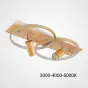 Потолочный светильник DIDRIKA L55 Light Brown Трехцветный свет от ImperiumLoft