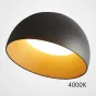Потолочный светильник BARA A D50 Black 4000К от ImperiumLoft