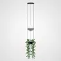 Подвесной светильник PALMA Wall lamp шар + вазон от ImperiumLoft