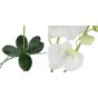 Декоративный искусственный цветок Phalaenopsis от LaLume