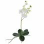 Декоративный искусственный цветок Phalaenopsis от LaLume