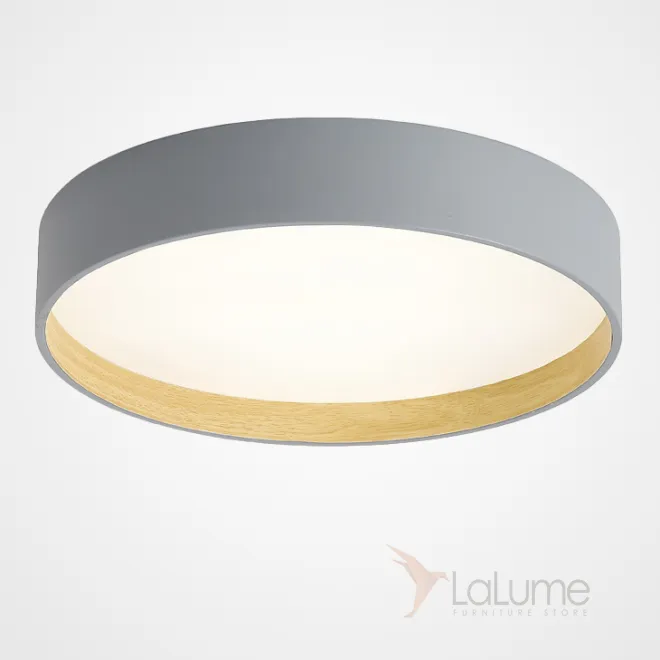 Потолочный светильник NETTY D50 Grey от ImperiumLoft