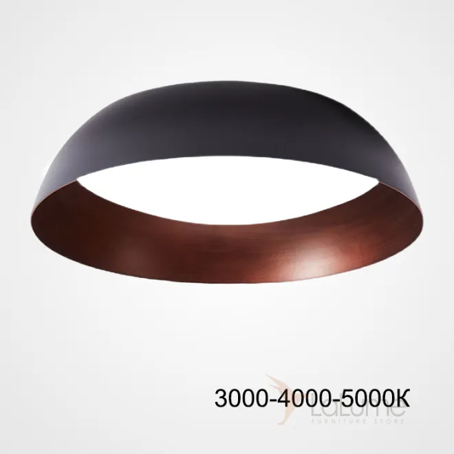 Потолочный светильник BARBO D40 Трехцветный свет от ImperiumLoft