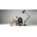 Напольная лампа Anglepoise Giant 1227 Floor Lamp