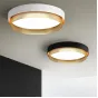 Потолочный светильник MALIA D45 White Brass 4000К от ImperiumLoft