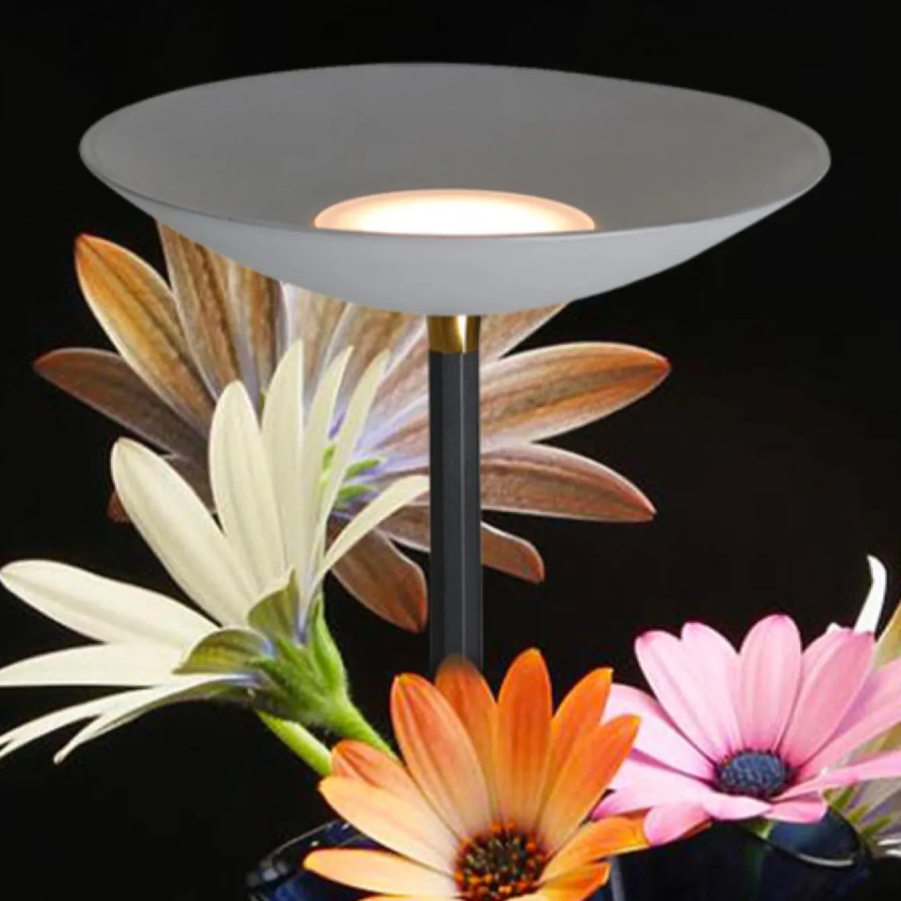 Серия напольных ламп с каменным абажуром в форме чаши на призматическом основании URPO FL