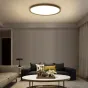 Потолочный светильник EXTRASLIM D40 Black от ImperiumLoft