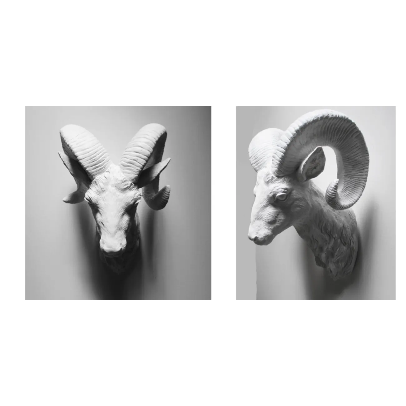 Голова барана - Белая с бронзовыми рогами от LaLume Голова барана - Белая с бронзовыми рогами от LaLume