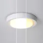 Потолочный светильник BUTTON D47 Pink от ImperiumLoft