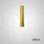 Точечный светильник PAN H30 Gold 3000 К от ImperiumLoft