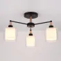 Люстра на штанге RICE D50 Black от ImperiumLoft