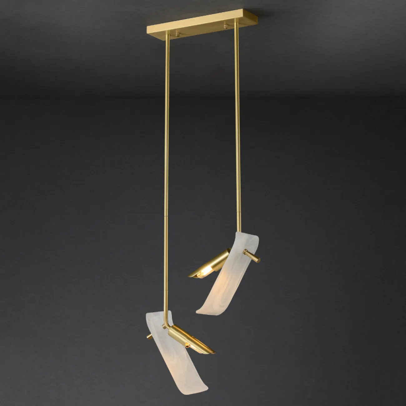 Готовая комбинация светильников с двумя прямоугольным рассеивателем из стекла с морозным эффектом HELMAR DUO