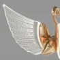 Подвесная люстра BIRDIE LUX 1R Brass от ImperiumLoft