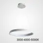 Подвесная люстра CHANETT D60 White Трехцветный свет от ImperiumLoft