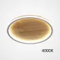 Потолочный светильник DOLAN D50 4000К от ImperiumLoft