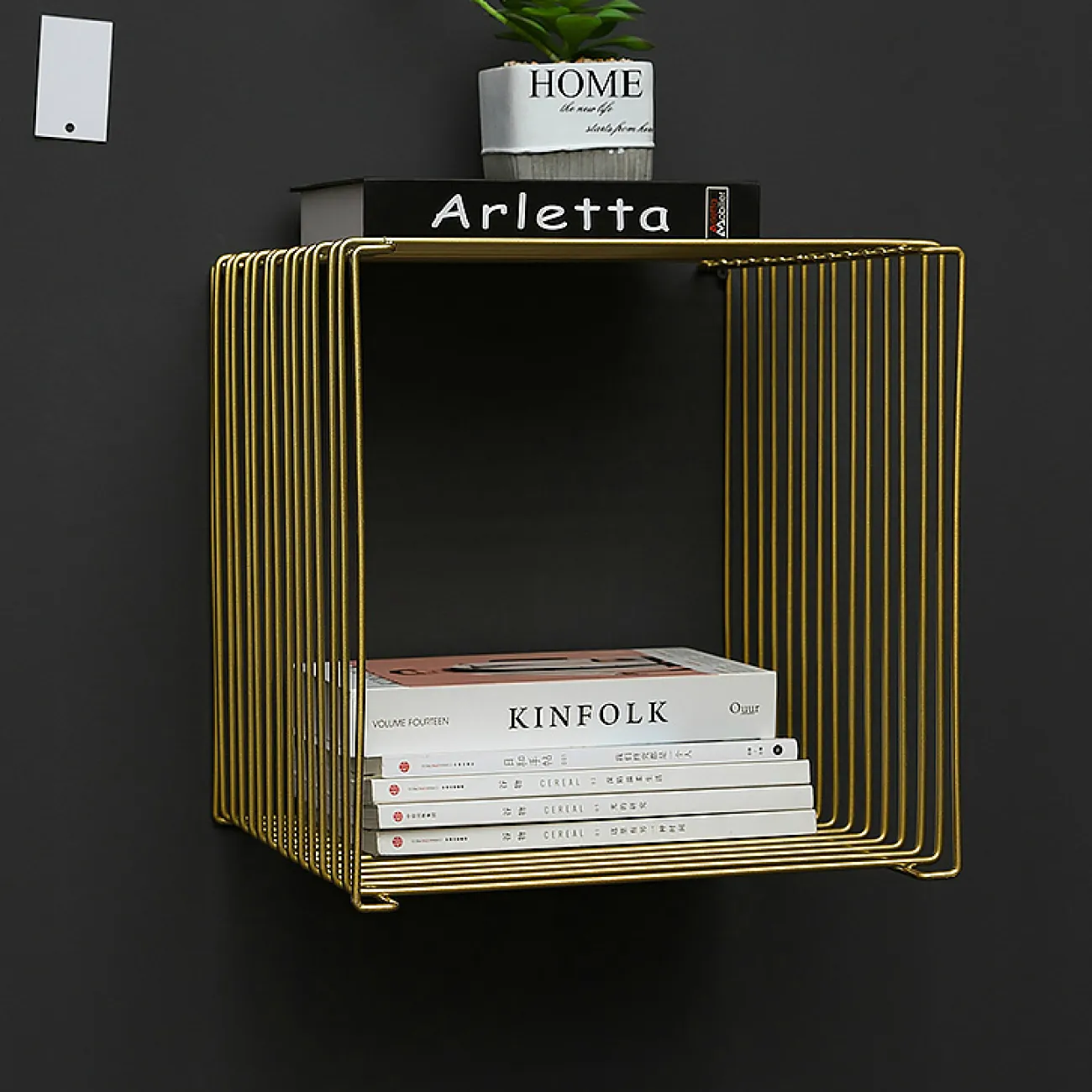 Дизайнерский настенный декор подставка LaLume-KKK00270 Дизайнерский настенный декор подставка LaLume-KKK00270