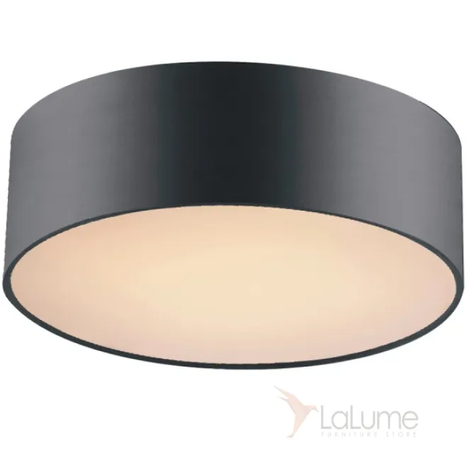 Потолочный светильник Cylindra Black 30 от LaLume