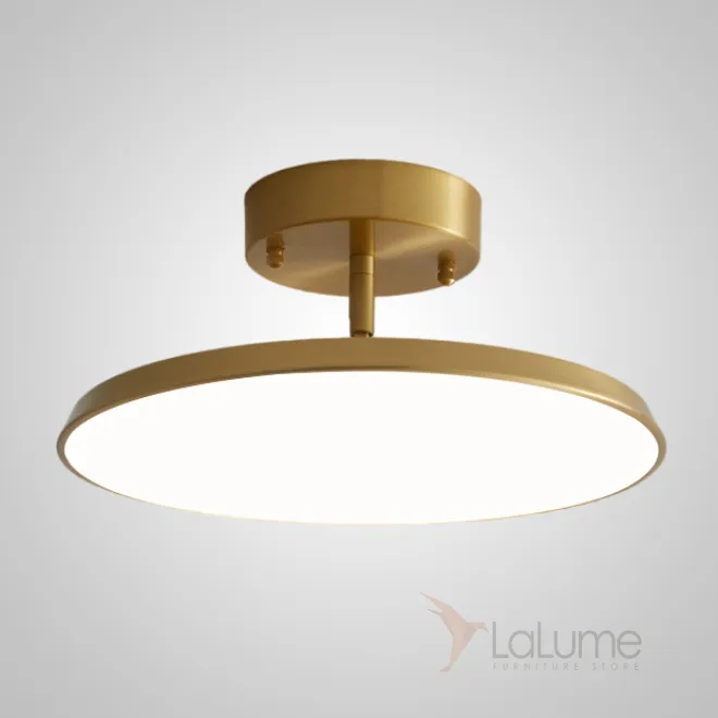 Серия потолочных светодиодных светильников с дисковидным корпусом на шарнирной стойке из латуни BIRK D30 Brass