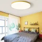 Потолочный светильник DISC HALF D26 Green от ImperiumLoft