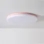 Потолочный светильник DISC HALF D48 Pink от ImperiumLoft