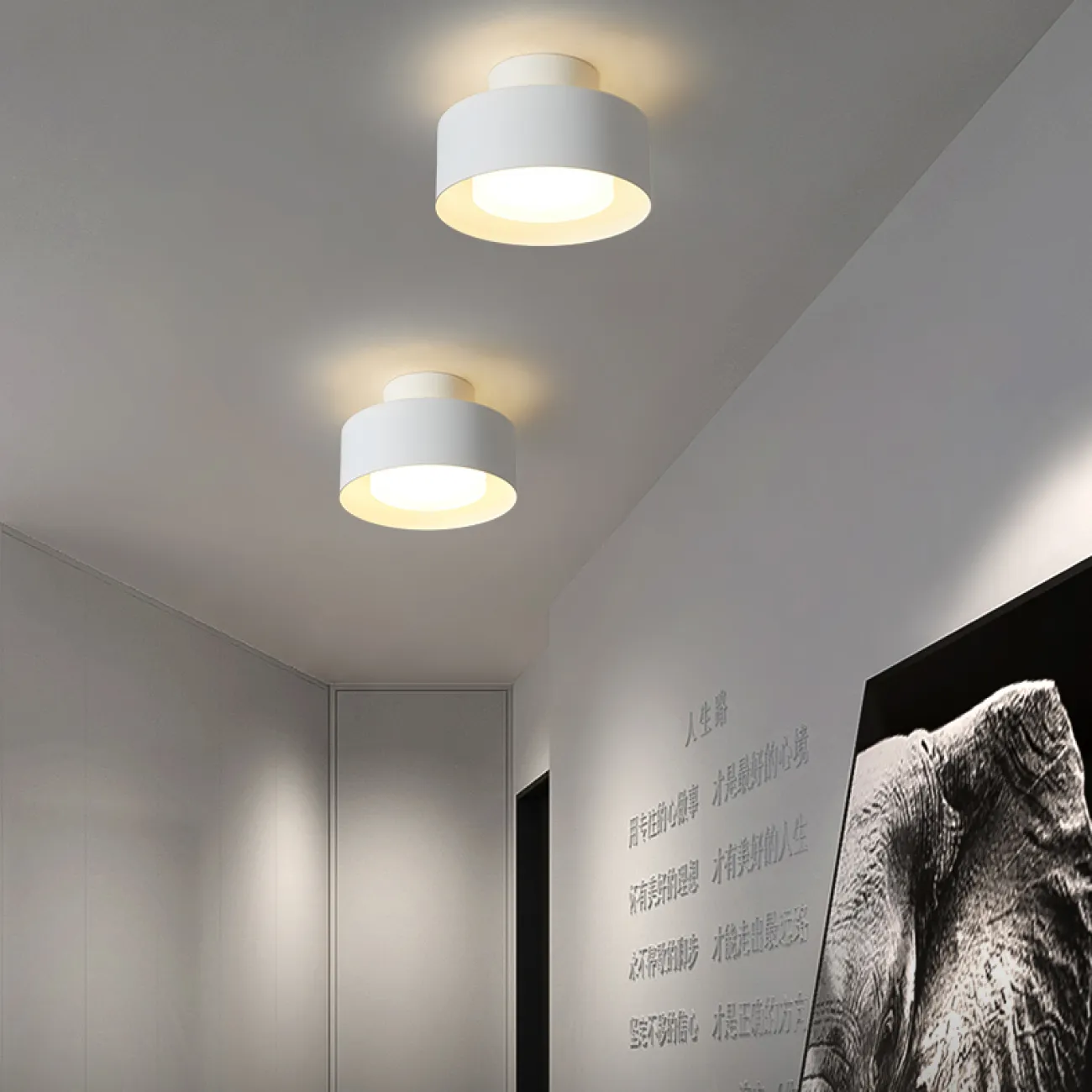 Серия точечных светодиодных светильников с круглым матовым плафоном в цилиндрическом корпусе SIGGEN SP White Трехцветный свет