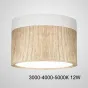 Точечный светильник FOG WOOD D11 White Трехцветный свет 12W от ImperiumLoft