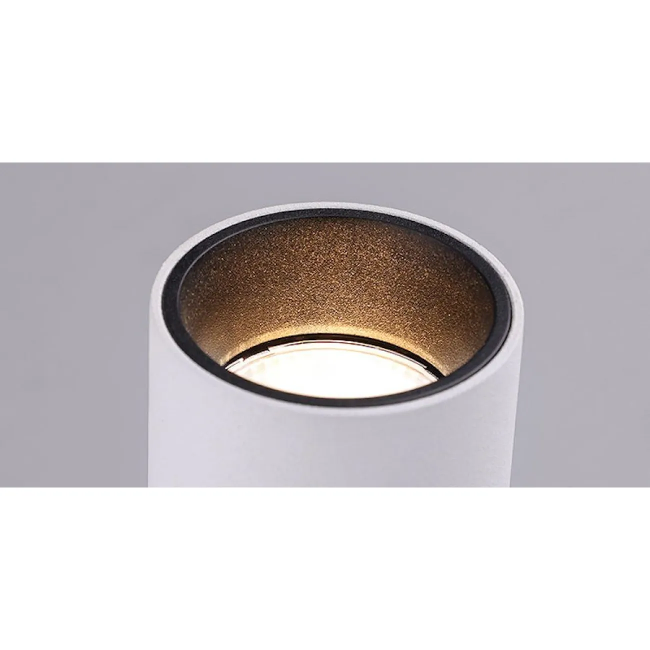 Спот Conecticus 2