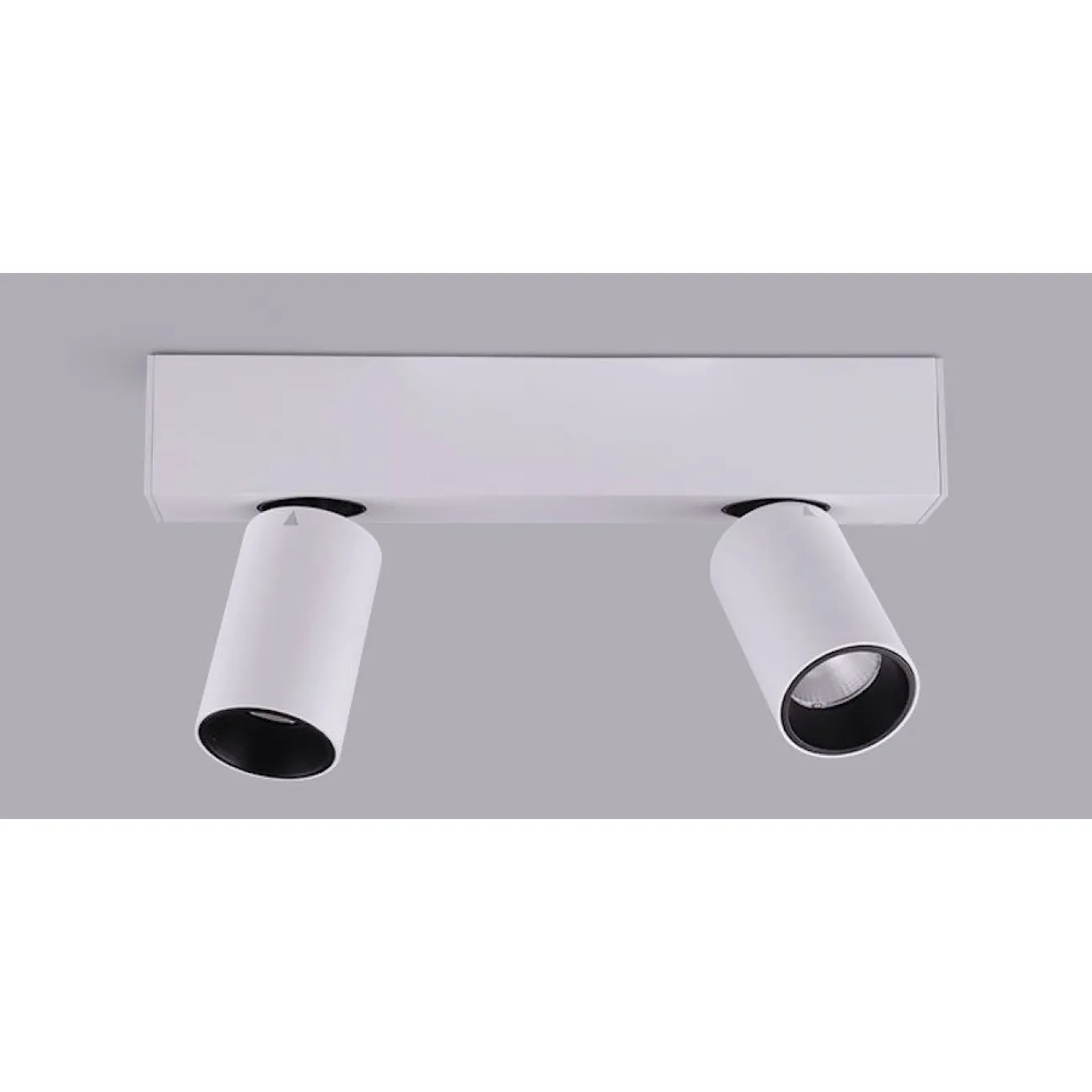 Спот Conecticus 2