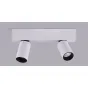 Спот Conecticus 2