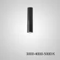 Точечный светильник PAN H20 Black Трехцветный свет от ImperiumLoft
