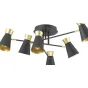 Потолочный светильник Gold Secret 6