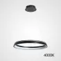 Подвесная люстра CHANETT D50 Black 4000К от ImperiumLoft