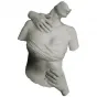 Бра Sculpture Female Torso Wall lamp от LaLume