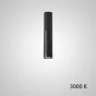 Точечный светильник PAN H30 Black 3000 К от ImperiumLoft