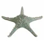 Аксессуар Starfish от LaLume