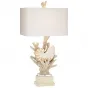 Nautilus Shell and White Coral Table Lamp