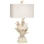 Nautilus Shell and White Coral Table Lamp