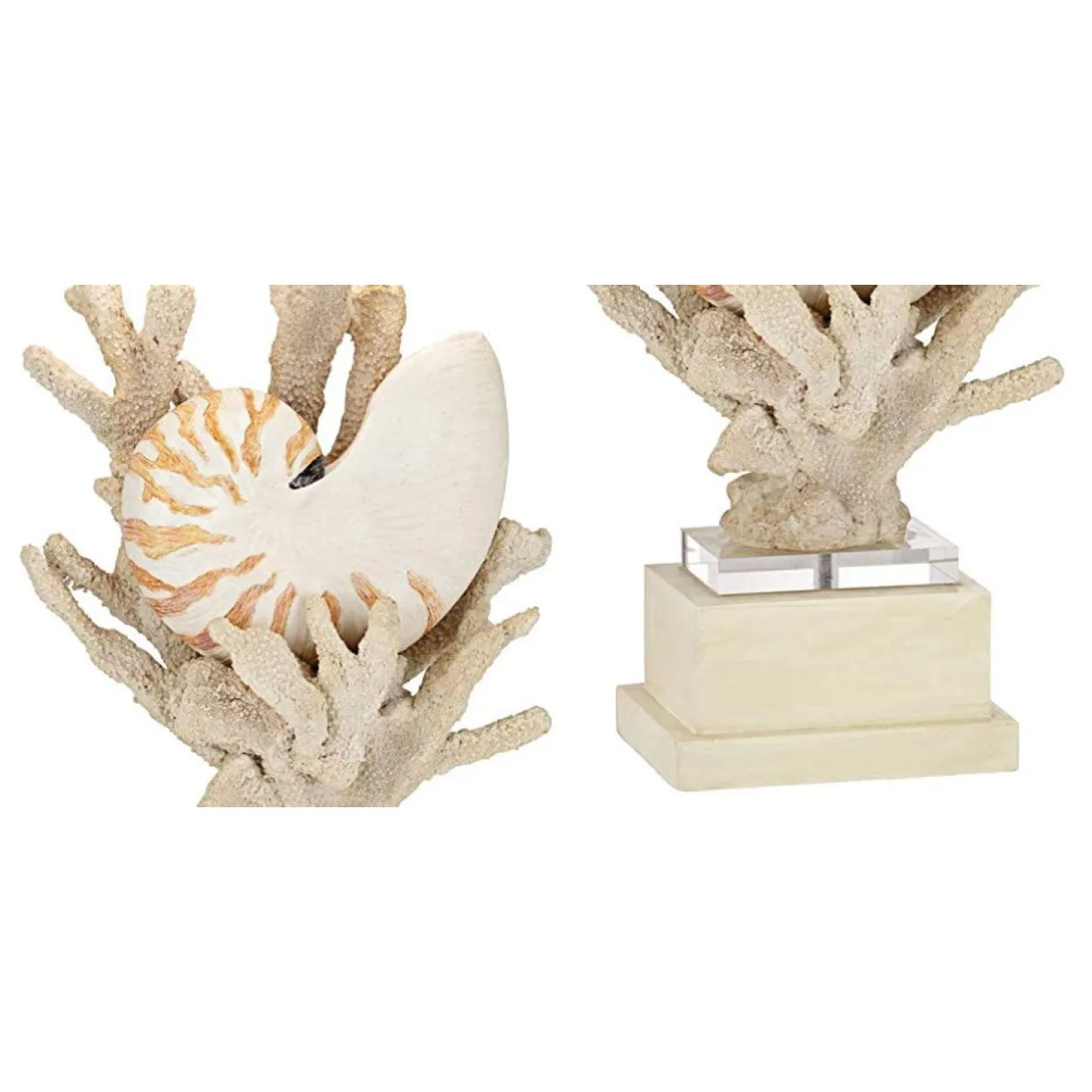 Nautilus Shell and White Coral Table Lamp