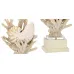 Nautilus Shell and White Coral Table Lamp
