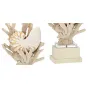 Nautilus Shell and White Coral Table Lamp